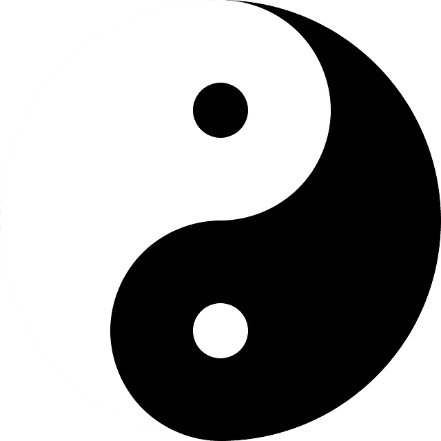 yin i yang